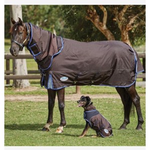 Weatherbeeta overgangsdeken 100 gram Comfitec Ultra Cozi II Detach-a-neck medium/lite